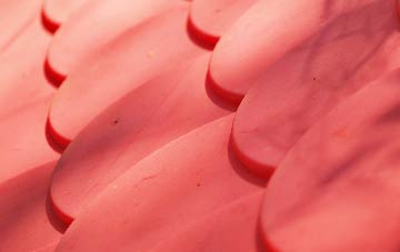 Knotting Green plastic roof costs