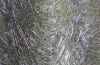 Knotting Green fibreglass roof work